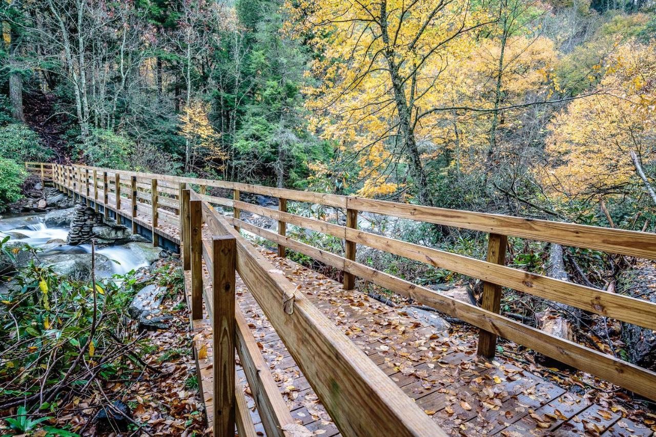 Fox Den, 2 Bedrooms, Sleeps 4, Whirlpool Tub, Deck, Yard, Hot Tub Gatlinburg Buitenkant foto