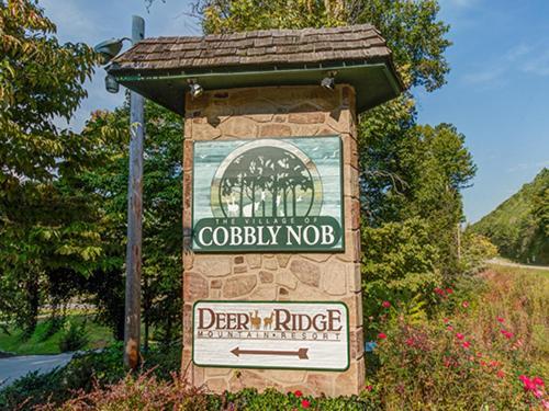 Fox Den, 2 Bedrooms, Sleeps 4, Whirlpool Tub, Deck, Yard, Hot Tub Gatlinburg Buitenkant foto